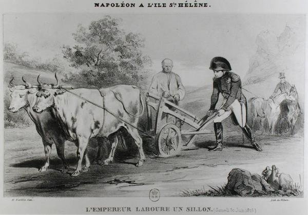 सेंट हेलेना पर नेपोलियन (1769-1821), फ्रेंकोइस ले विलेन द्वारा उत्कीर्ण (fl.1819-22) द्वारा लोइलोट हार्टविग के बाद कार्ल