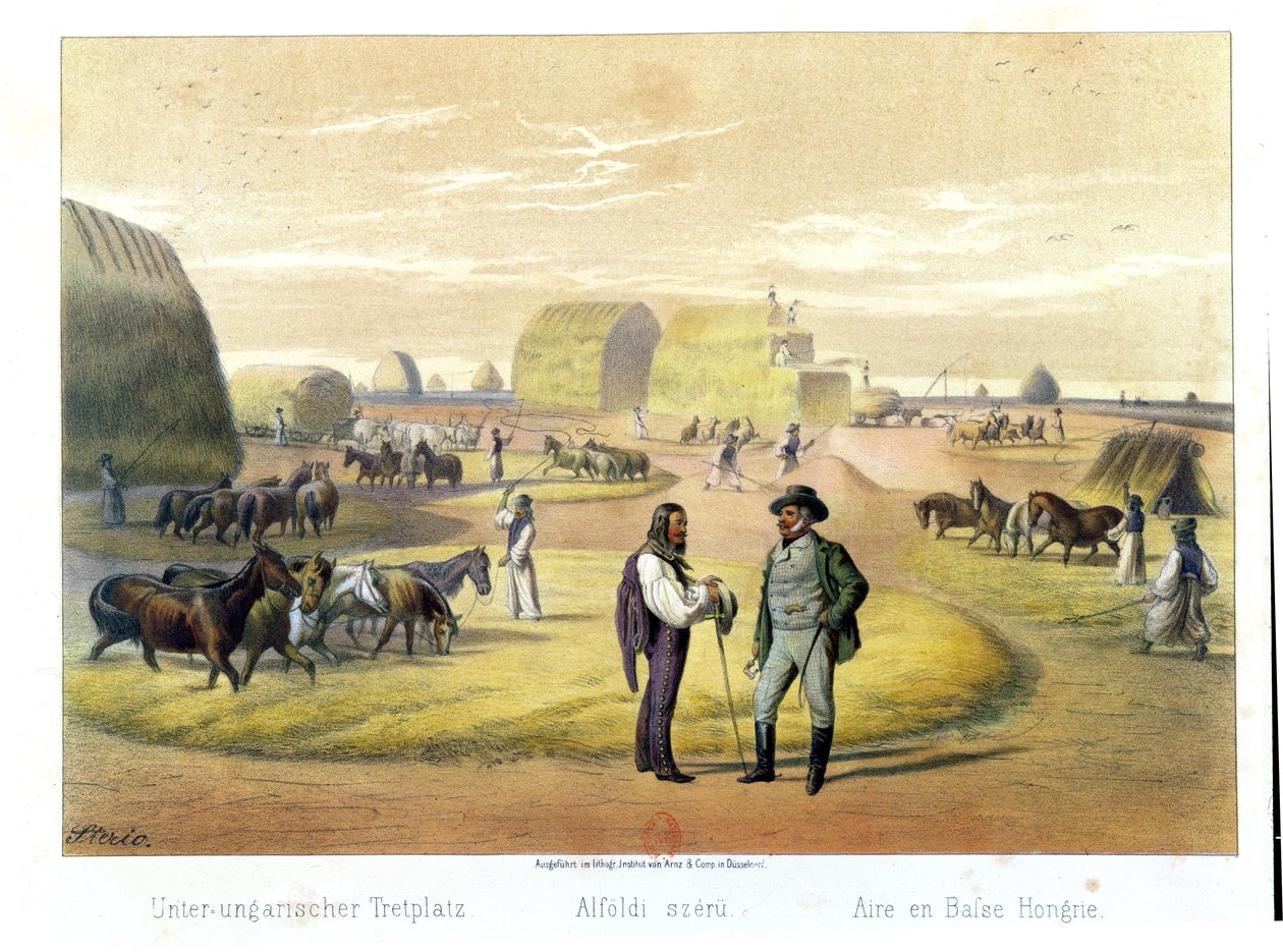 हंगरी में थ्रेसिंग गेहूं, बैरन प्रोनय, बुडापेस्ट, 1855 की एक पुस्तक से द्वारा करोली स्टीरियो
