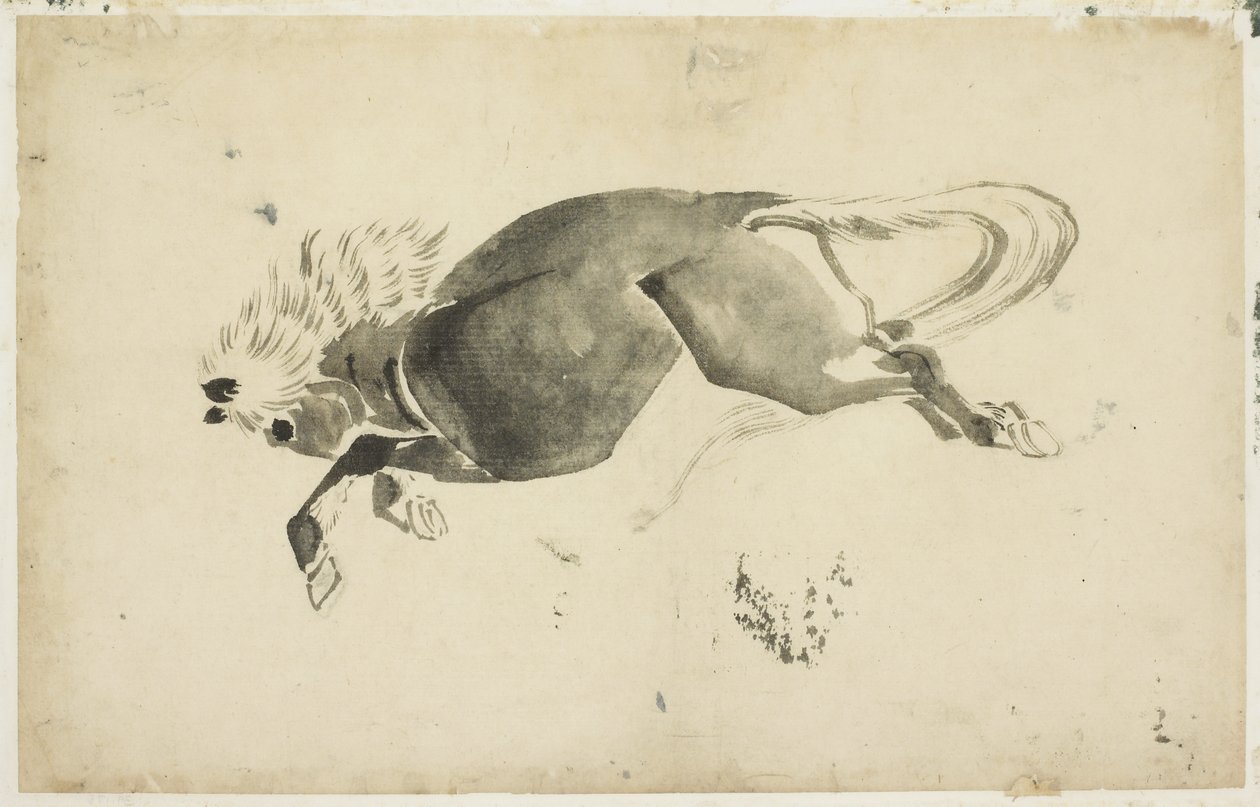 रनिंग हॉर्स, c.1815-1849 (कागज पर स्याही) द्वारा कटुशिका (स्कूल ऑफ होकुसाई)