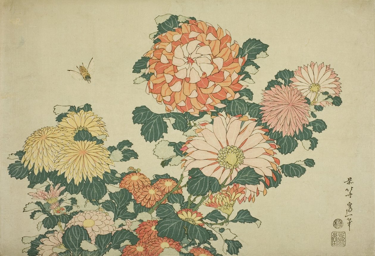 गुलदाउदी और मधुमक्खी, बड़े फूलों की एक शीर्षकहीन श्रृंखला से, c.1833-34 द्वारा कत्सुशिका होकुसाई