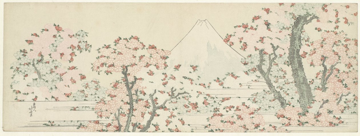 चेरी ब्लॉसम पर फ़ूजी, c.1800-1805 (वुडकट) द्वारा कत्सुशिका होकुसाई