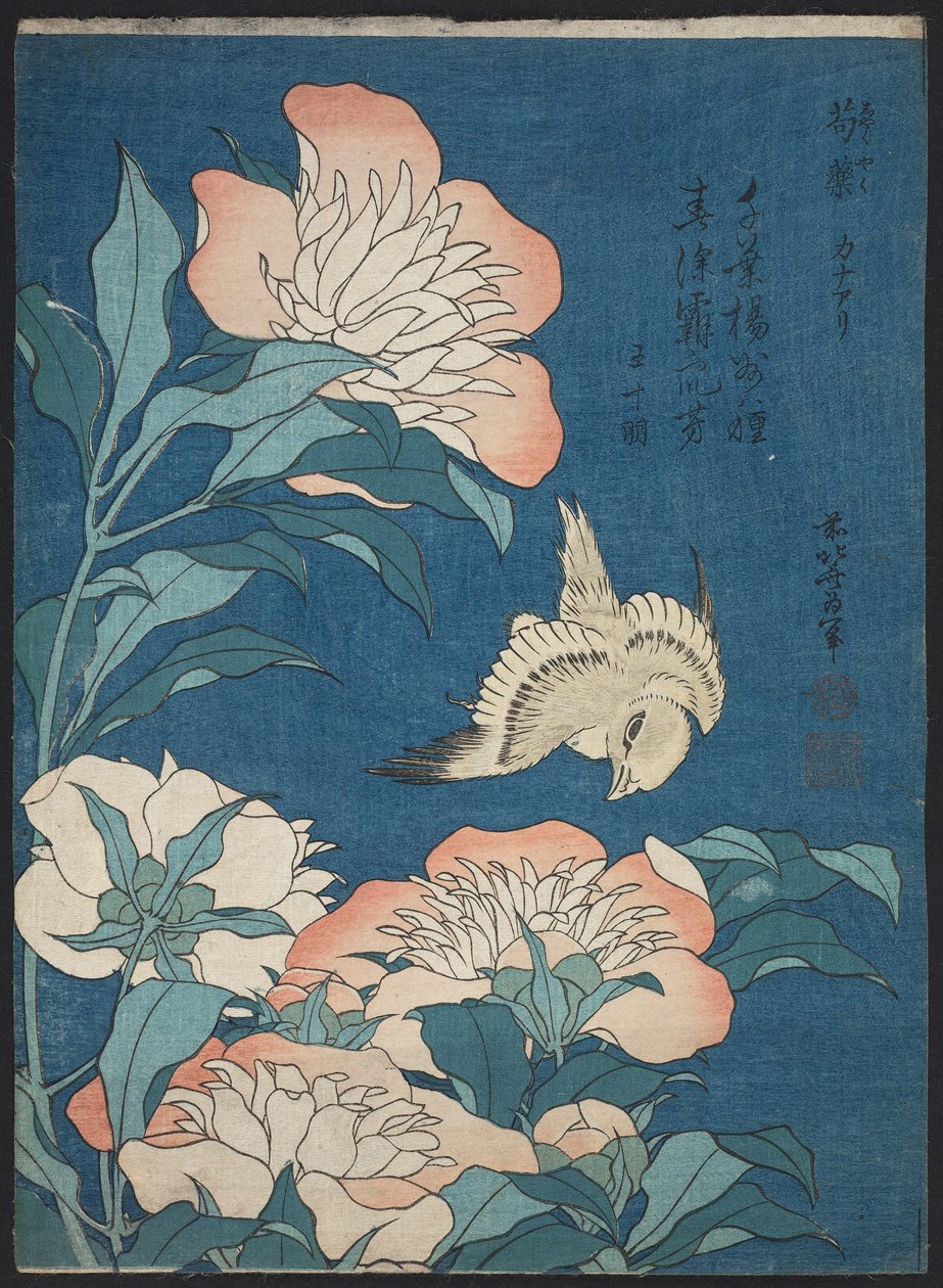 Peonies और कैनरी (Shakuyaku, kanaari), छोटे फूलों के रूप में जाना जाता है द्वारा कत्सुशिका होकुसाई