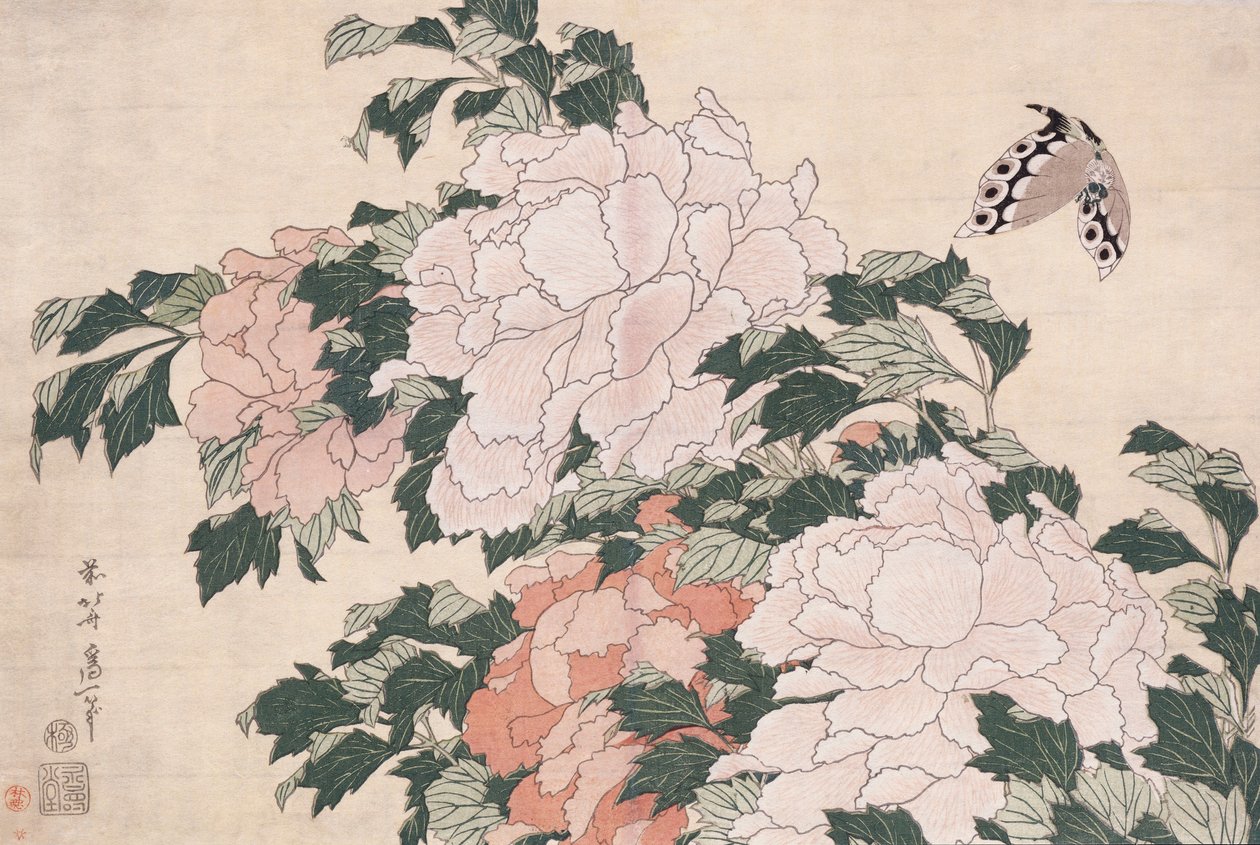 गुलाबी और लाल Peonies एक हवा और एक तितली में वामपंथी को उड़ा दिया द्वारा कत्सुशिका होकुसाई