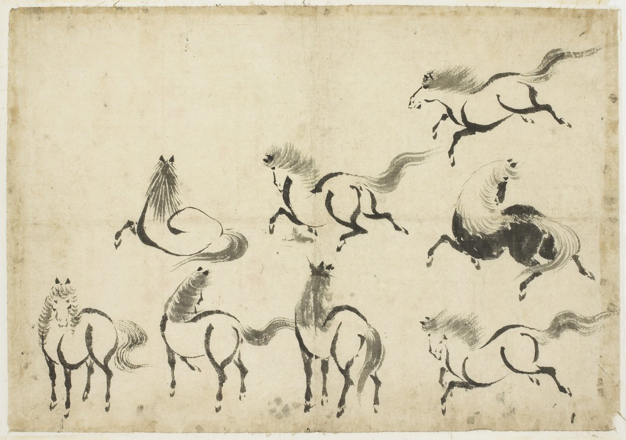घोड़े का अध्ययन, c.1815-1849 (कागज पर स्याही) द्वारा कत्सुशिका होकुसाई