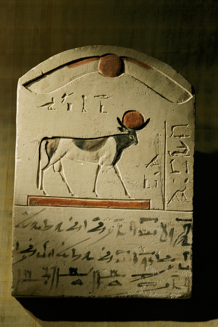  द्वारा केनेथ गैरेट