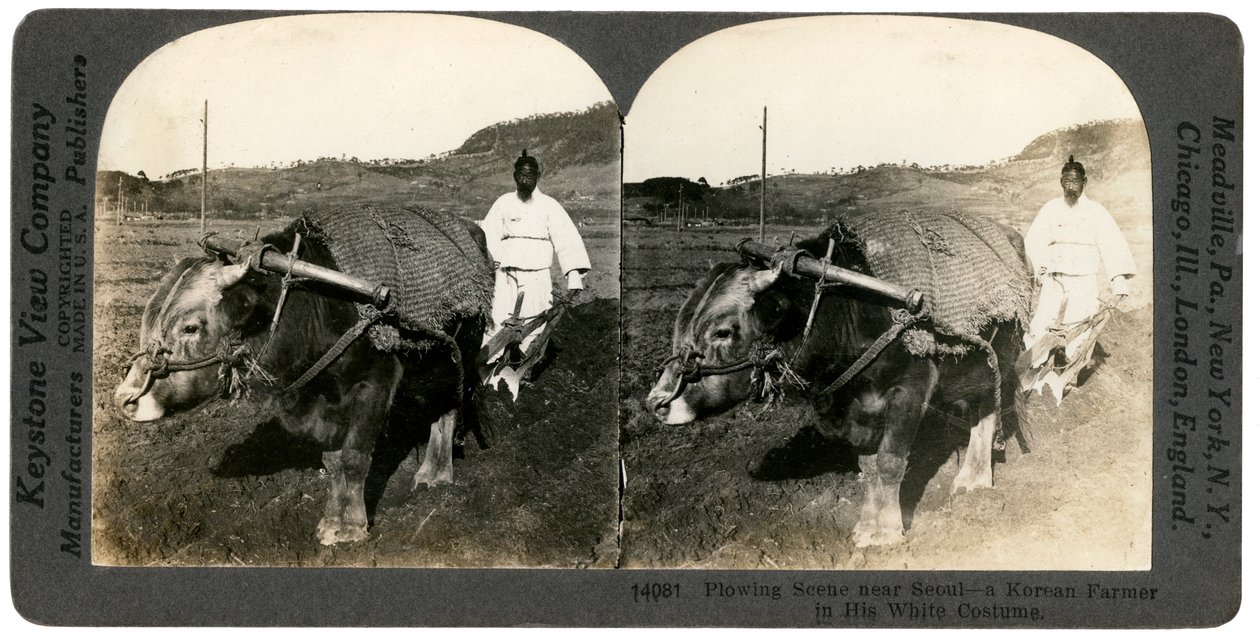 सियोल के पास खेती, दक्षिण कोरिया, 1900s। द्वारा कीस्टोन व्यू कंपनी