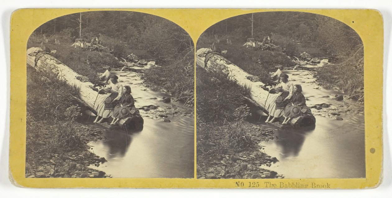 द बब्लिंग ब्रूक, 185575। निर्माता: किलबर्न ब्रदर्स, बीडब्ल्यू किलबर्न। द्वारा किलबर्न ब्रदर्स, बीडब्ल्यू किलबर्न