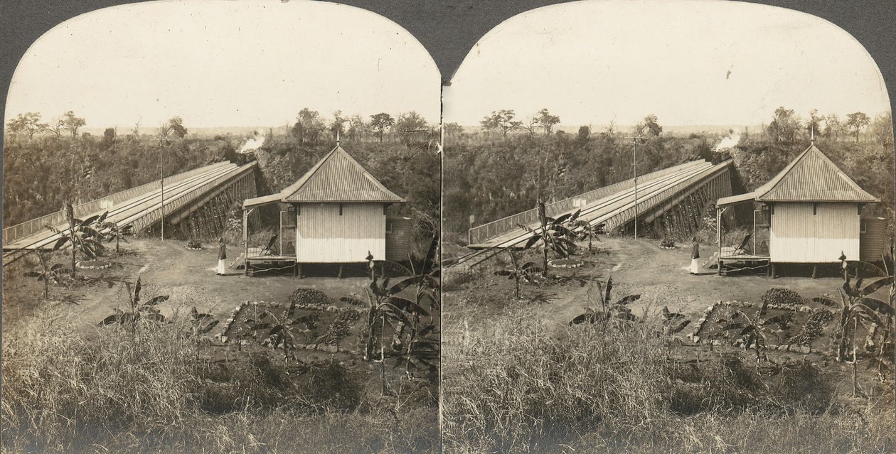 अफ्रीका और अभिनेताओं के 14 स्टीरियोग्राफ का समूह, 1850-1910। द्वारा किलबर्न ब्रदर्स