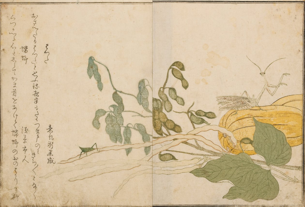 ग्रासहॉपर और प्रार्थना मंत्र, 1788 (वुडब्लॉक) द्वारा किटगावा उतामारो