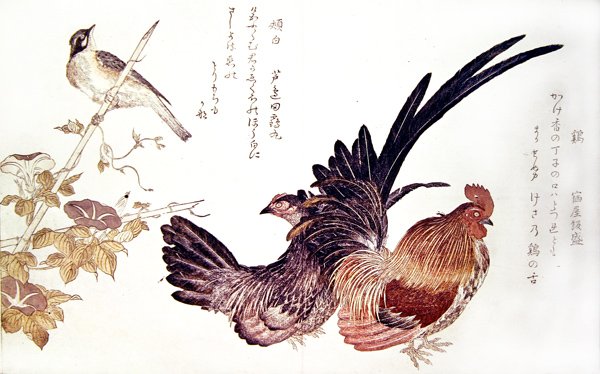 एक घरेलू मुर्गी और मुर्गा तथा बांस की टहनी पर जापानी ध्वजा, लगभग 1791 (रंगीन वुडब्लॉक प्रिंट) द्वारा किटगावा उतामारो