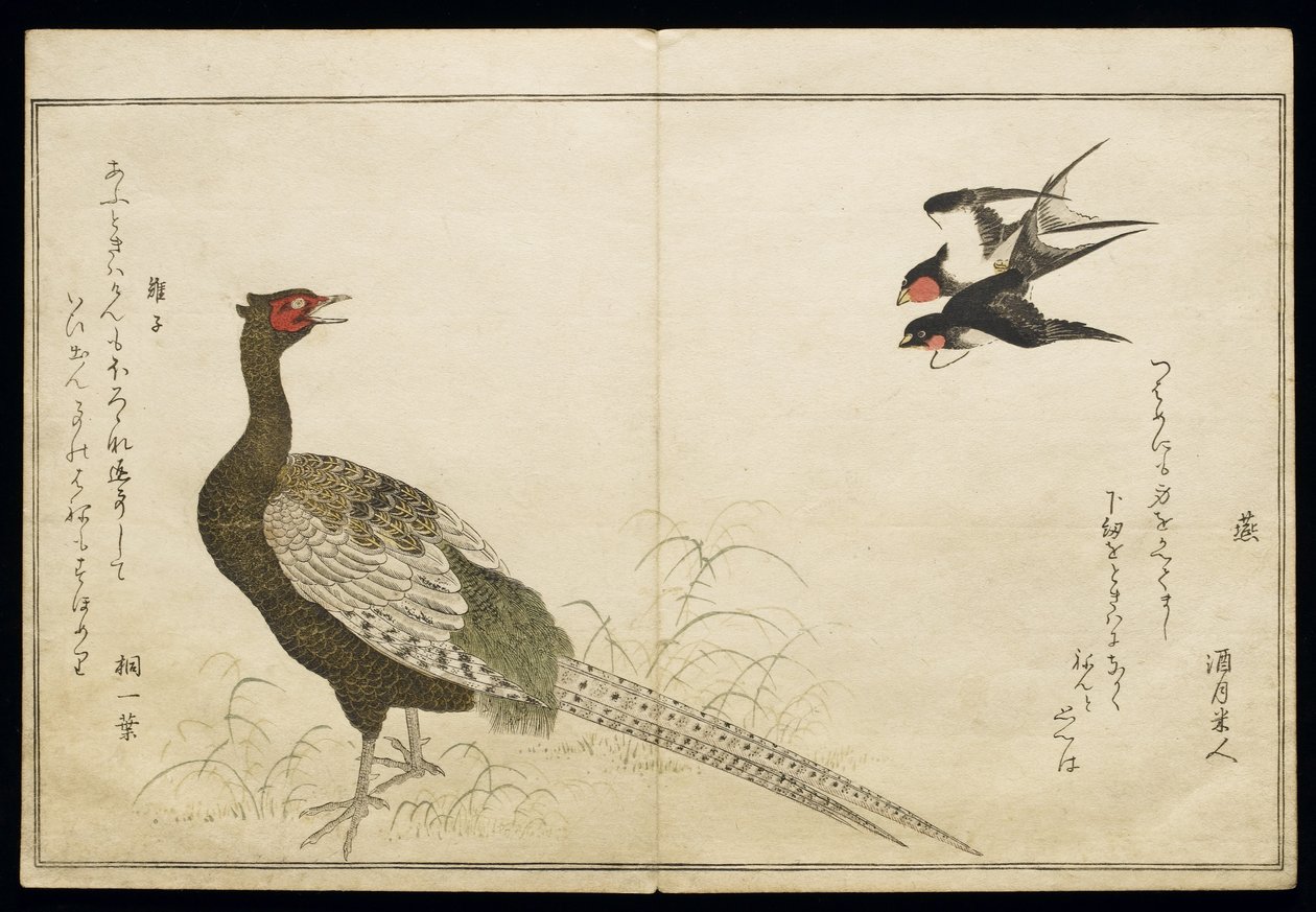 P.332-1946 Vol.1 f.6 चिमनी स्वैलोज़ की जोड़ी और एक हरा तीतर, एक एल्बम &39;बर्ड्स इन ह्यूमरस सॉन्ग&39;, 1791 (कलर वुडब्लॉक प्रिंट) से द्वारा किटगावा उतामारो
