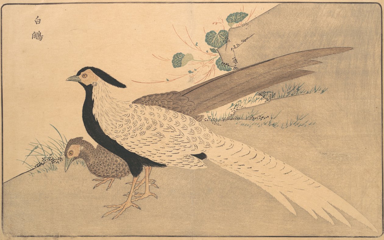बाई जियान, 1789। द्वारा किताबो मासायोशी