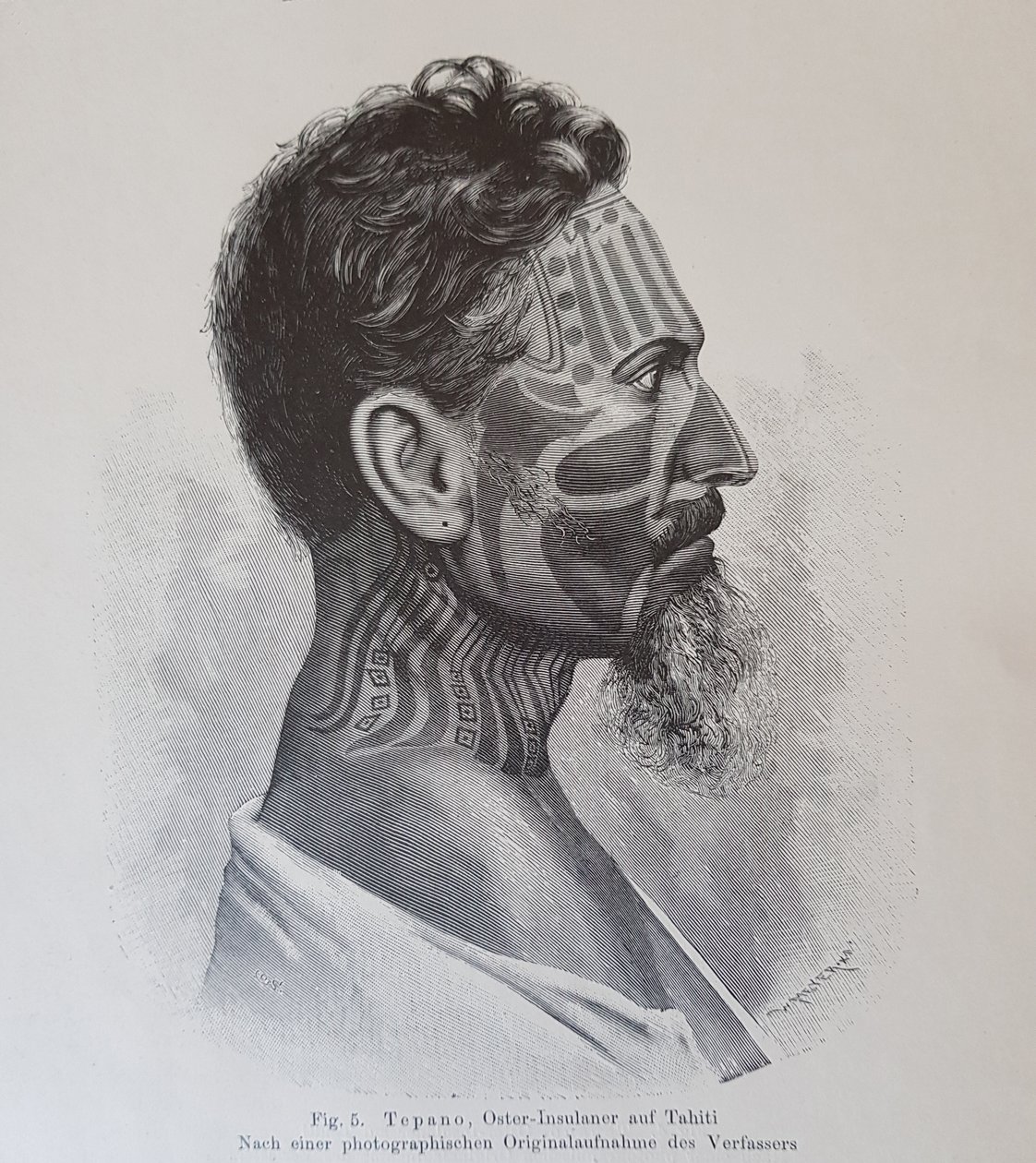जुआन टेपानो, हेजलमार स्टोलपे द्वारा, 1899 में &39;अबाउट द टैटू ऑफ़ द ईस्टर आइलैंडर्स&39;, द्वारा नट हजलमर स्टोलपे