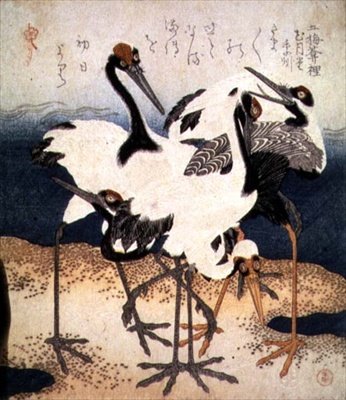 थ्री पेटल्स सीरीज़, c.1816 (स्याही) से रेत के थूक पर विभिन्न पोज़ में सफेद पंखों वाली पाँच क्रेनें द्वारा कूबो शुम्मन