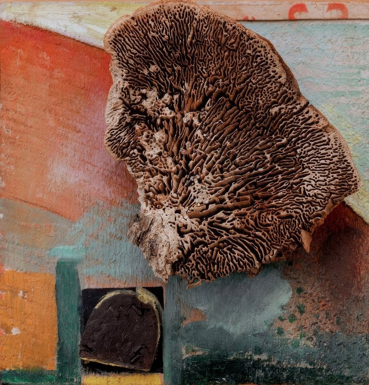 शीर्षकहीन (मूंगा के साथ मर्ज चित्र) द्वारा कर्ट Schwitters