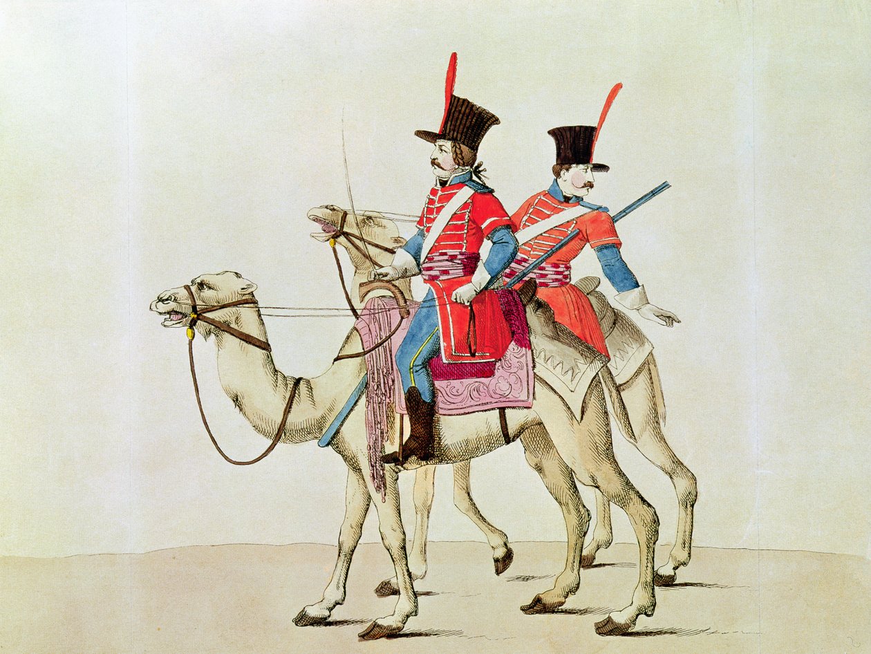 1839 में ड्रोमेडरी रेजिमेंट के सैनिक द्वारा Laderer