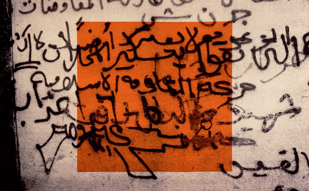 फिलिस्तीन के लिए एक बंदूक, 1992 (कैनवास पर silkscreen) द्वारा लैला शावा