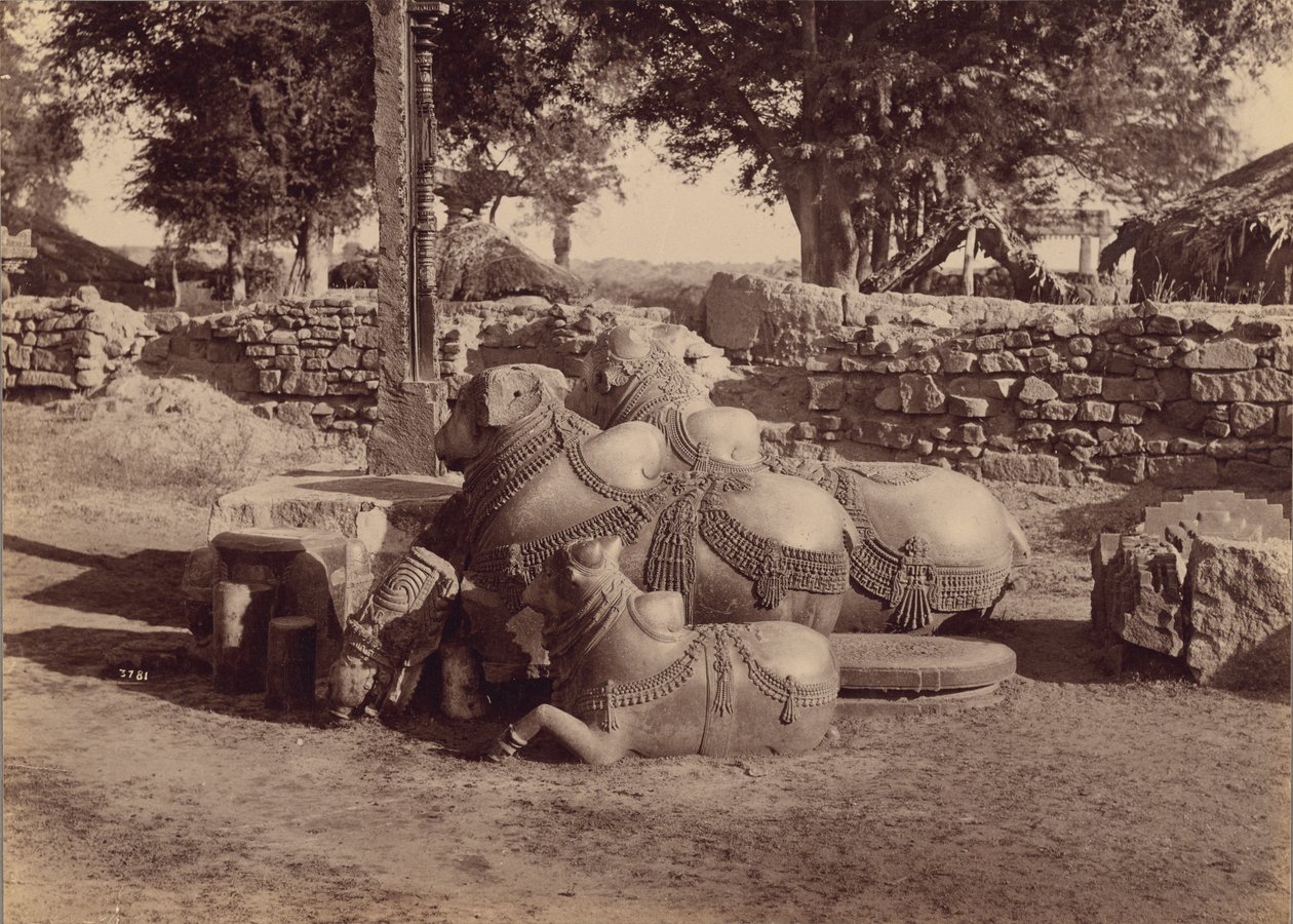  द्वारा लाला दीन दयाल