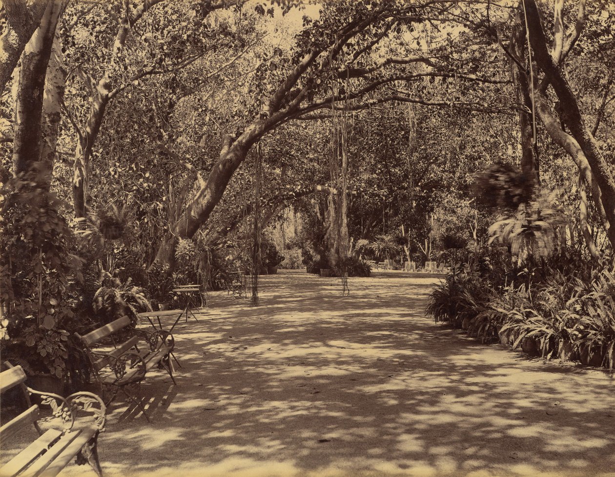 Sookh-Vilas Palace Garden, 1880-90.  द्वारा लाला दीन दयाल