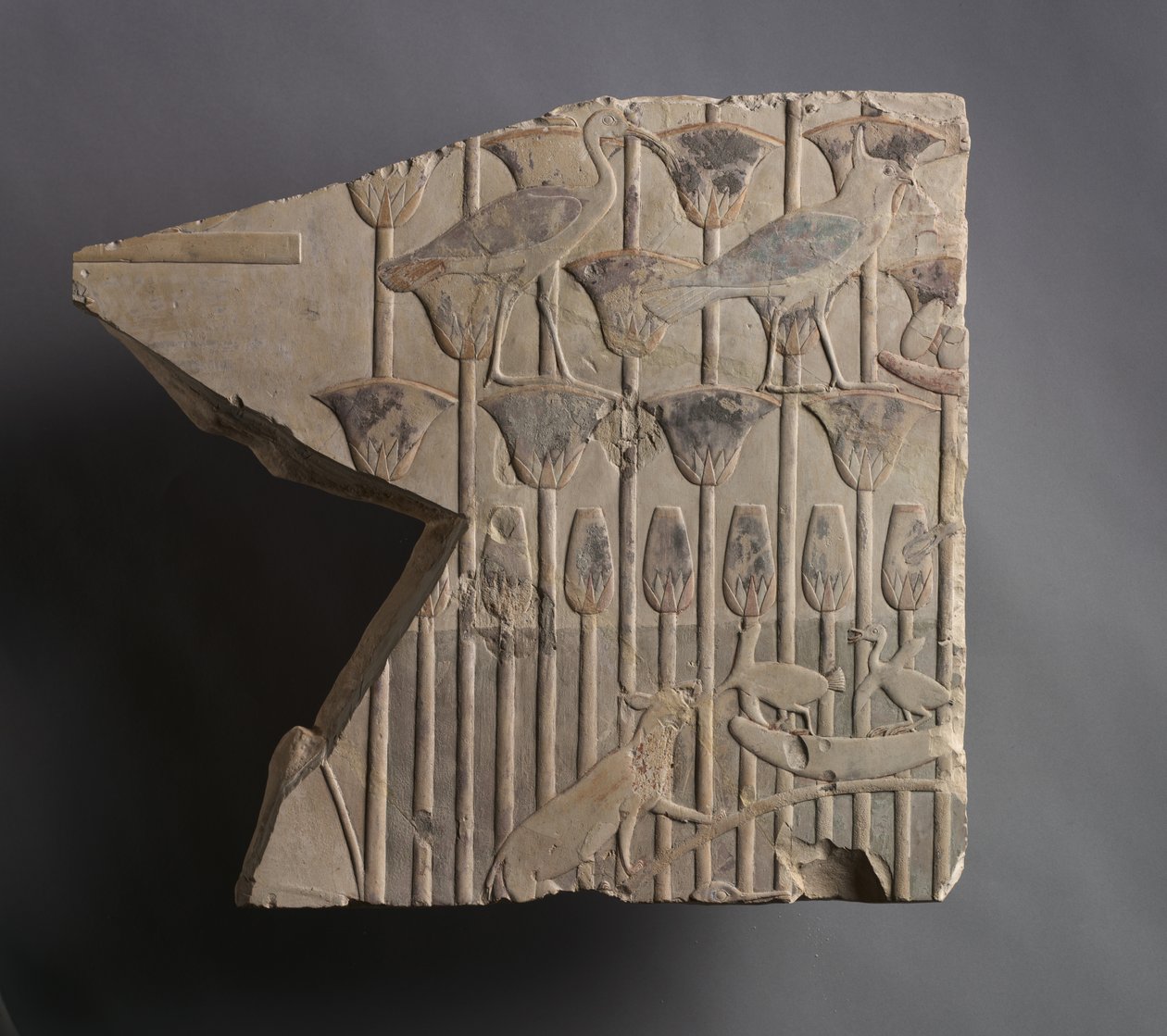 स्पीयरिंग फिश, c.667-647 ई.पू. द्वारा देर से मिस्र