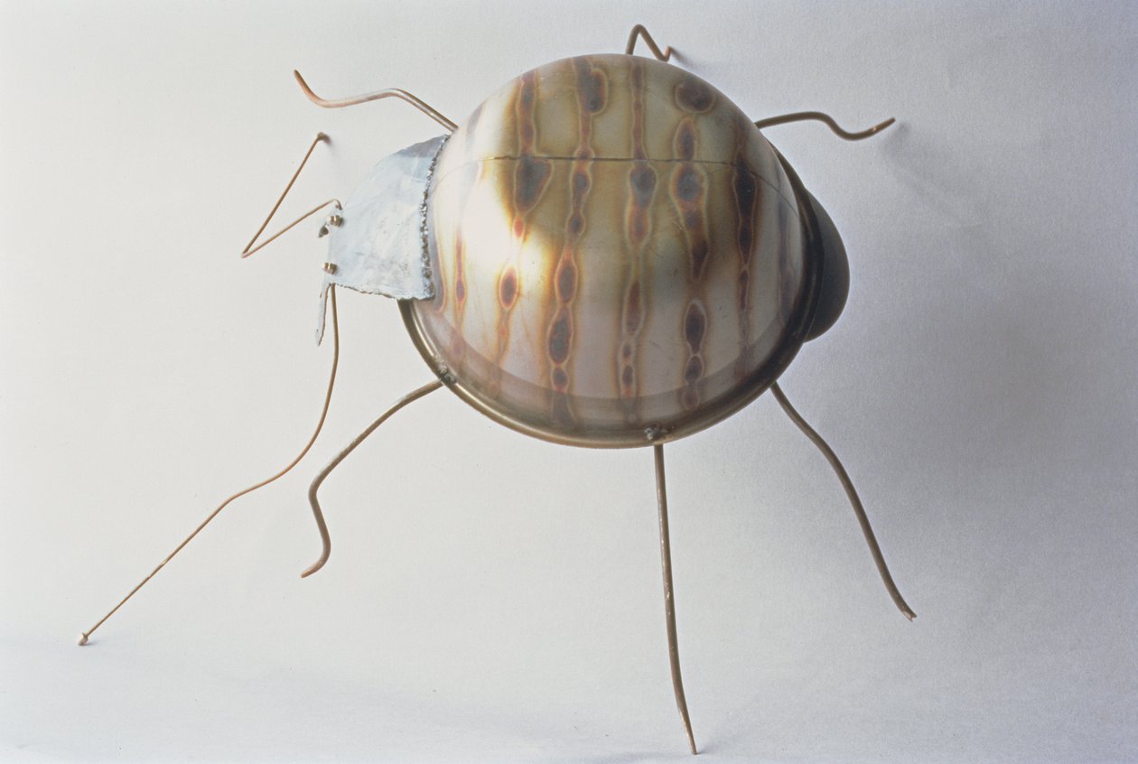द ग्राउंड बीटल, 1995 (धातु) द्वारा लॉरी सिमंसन