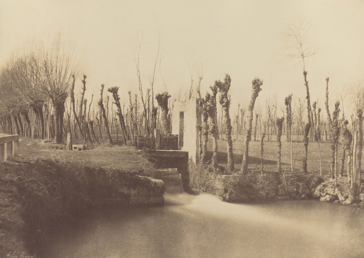  द्वारा लियोन गेरार्डो