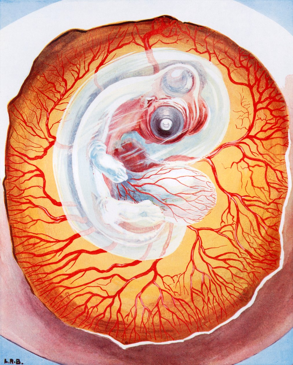  द्वारा लियोनार्ड रॉबर्ट ब्राइटवेल