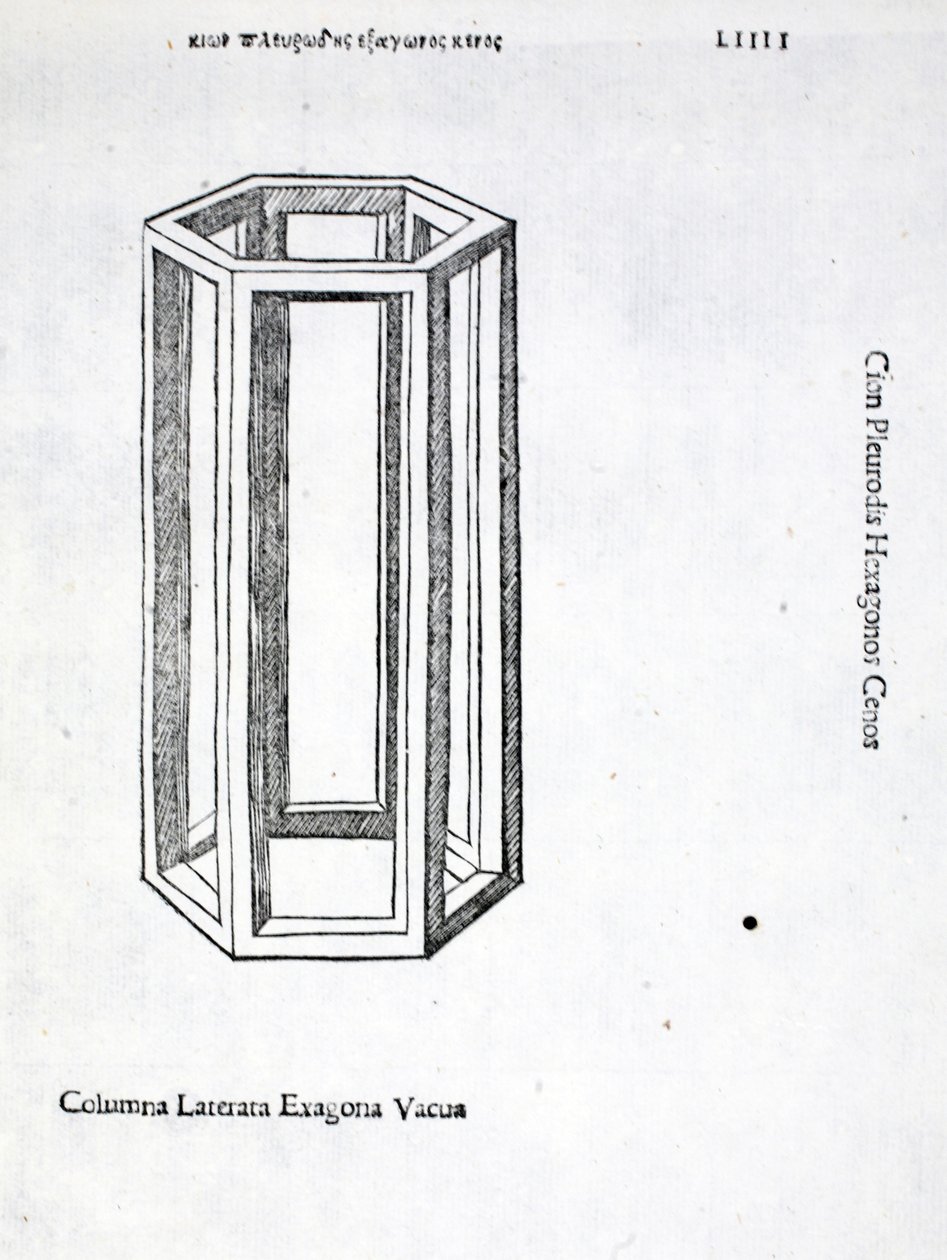 Columna laterata exagona vacua, मूल रूप से पब से Luca Pacioli (c.1445-1517) द्वारा &39;Divina Proportione&39; का चित्रण। वेनिस, 1509 द्वारा लियोनार्डो दा विंची