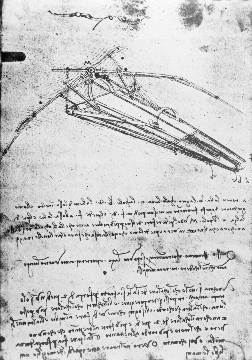 एमएस बी 2173, फोलियो 74 वी: फ्लाइंग मशीन के लिए अध्ययन, 1487-1490 द्वारा लियोनार्डो दा विंची