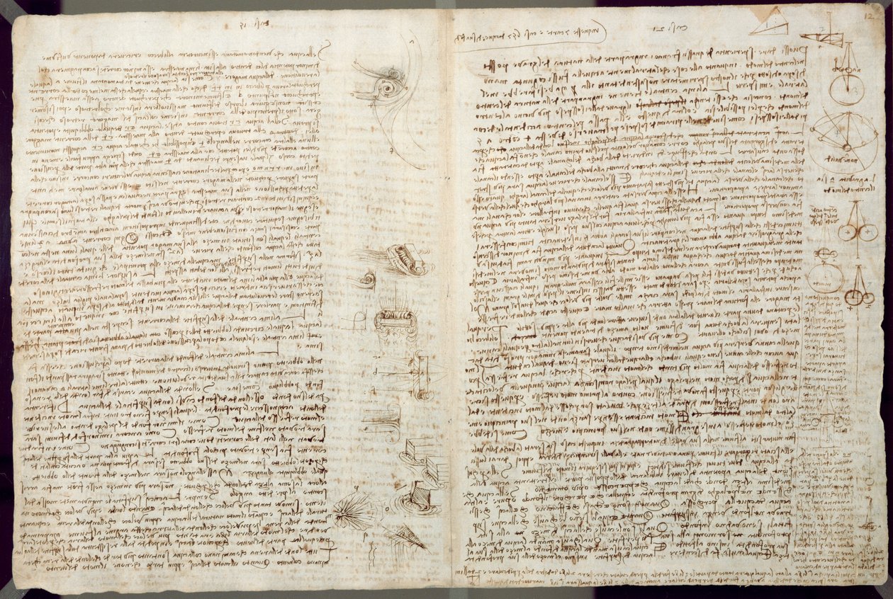 कोडेक्स लीसेस्टर से वैज्ञानिक चित्र, 1508-12 (लिनन पेपर पर सीपिया स्याही) द्वारा लियोनार्डो दा विंची