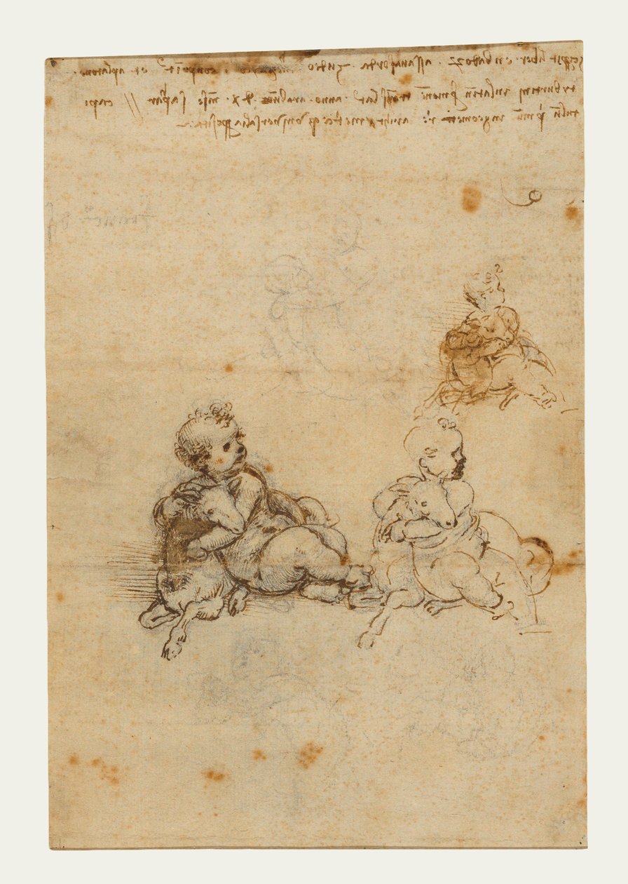 एक मेमने के साथ क्राइस्ट चाइल्ड के लिए अध्ययन, c.1503-1506 (काली चाक, कलम और भूरी स्याही) द्वारा लियोनार्डो दा विंची