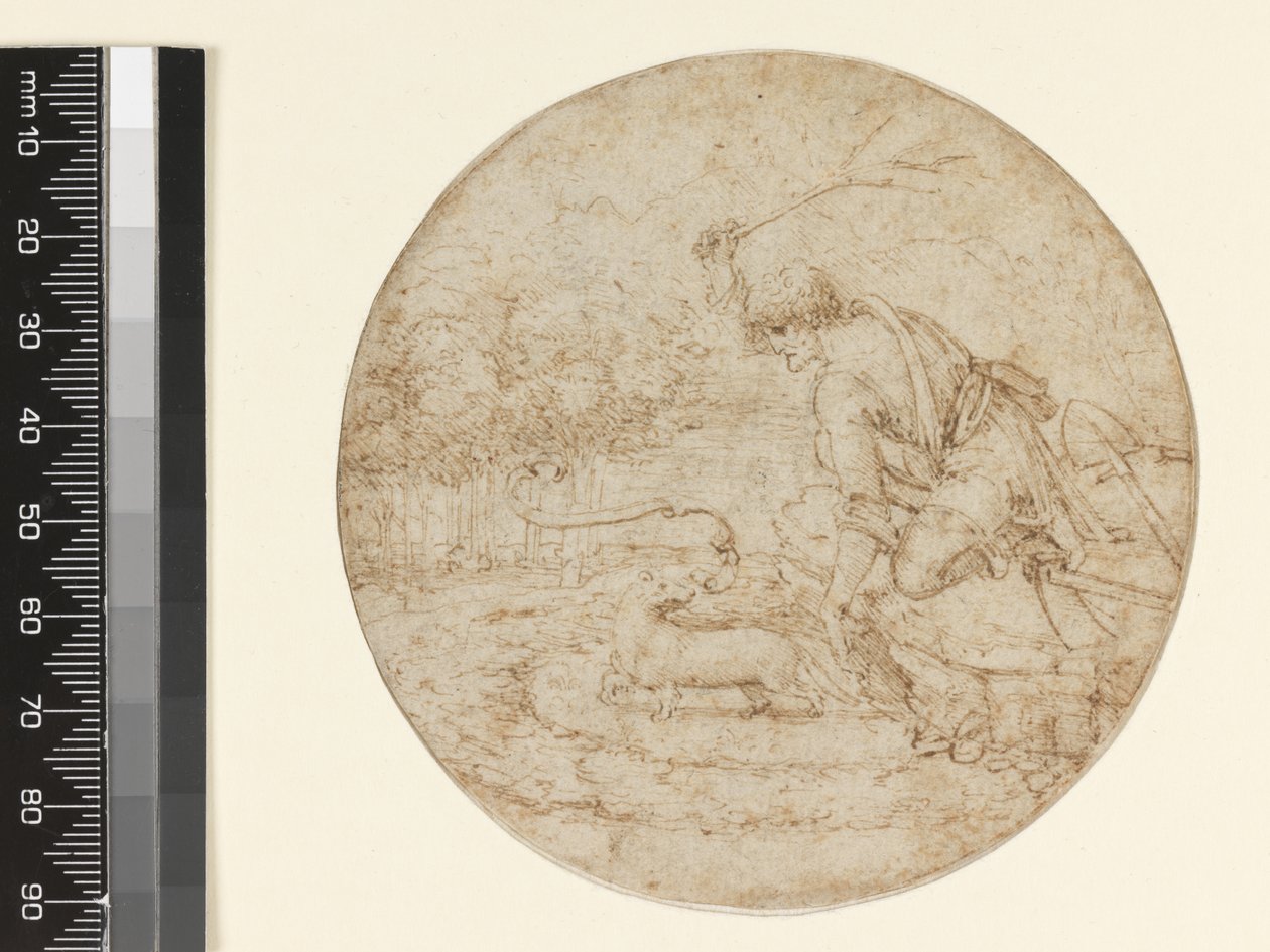 द एर्माइन ऑफ़ द सिंबल ऑफ़ पौरिटी, c.1494 (पेन एंड ब्राउन स्याही ऑन ब्लैक) द्वारा लियोनार्डो दा विंची