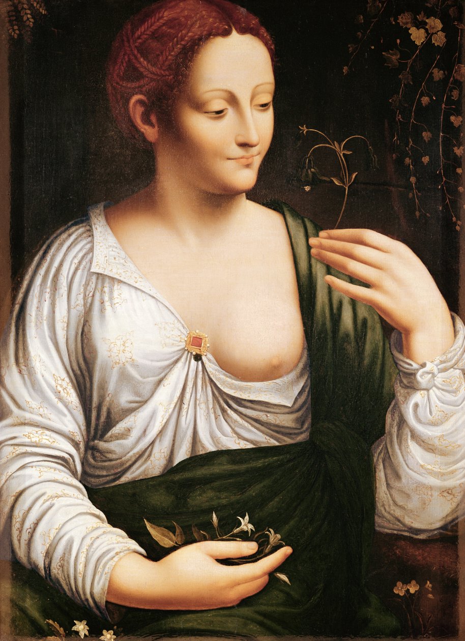  द्वारा लियोनार्डो दा (स्कूल ऑफ विंसी)