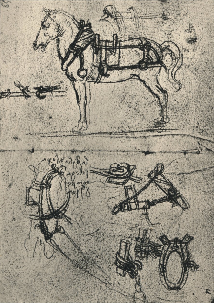 अ हार्नेस कार्ट-हॉर्स एंड स्टडीज़ ऑफ़ हार्नेस, c1480 1945 द्वारा लियोनार्डो दा विंची