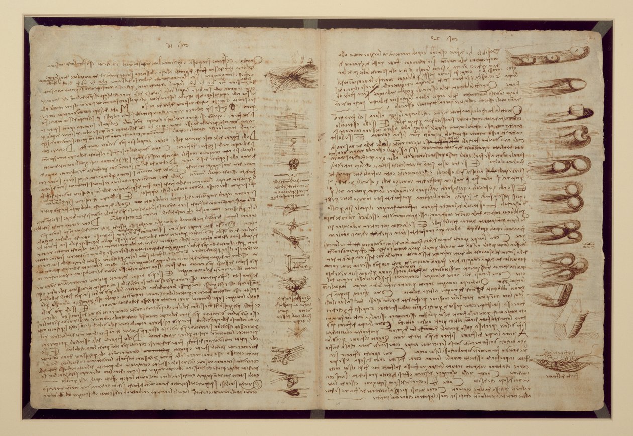 कोडेक्स लीसेस्टर का एक पृष्ठ, 1508-12 (लिनन पेपर पर सीपिया स्याही) द्वारा लियोनार्डो दा विंची