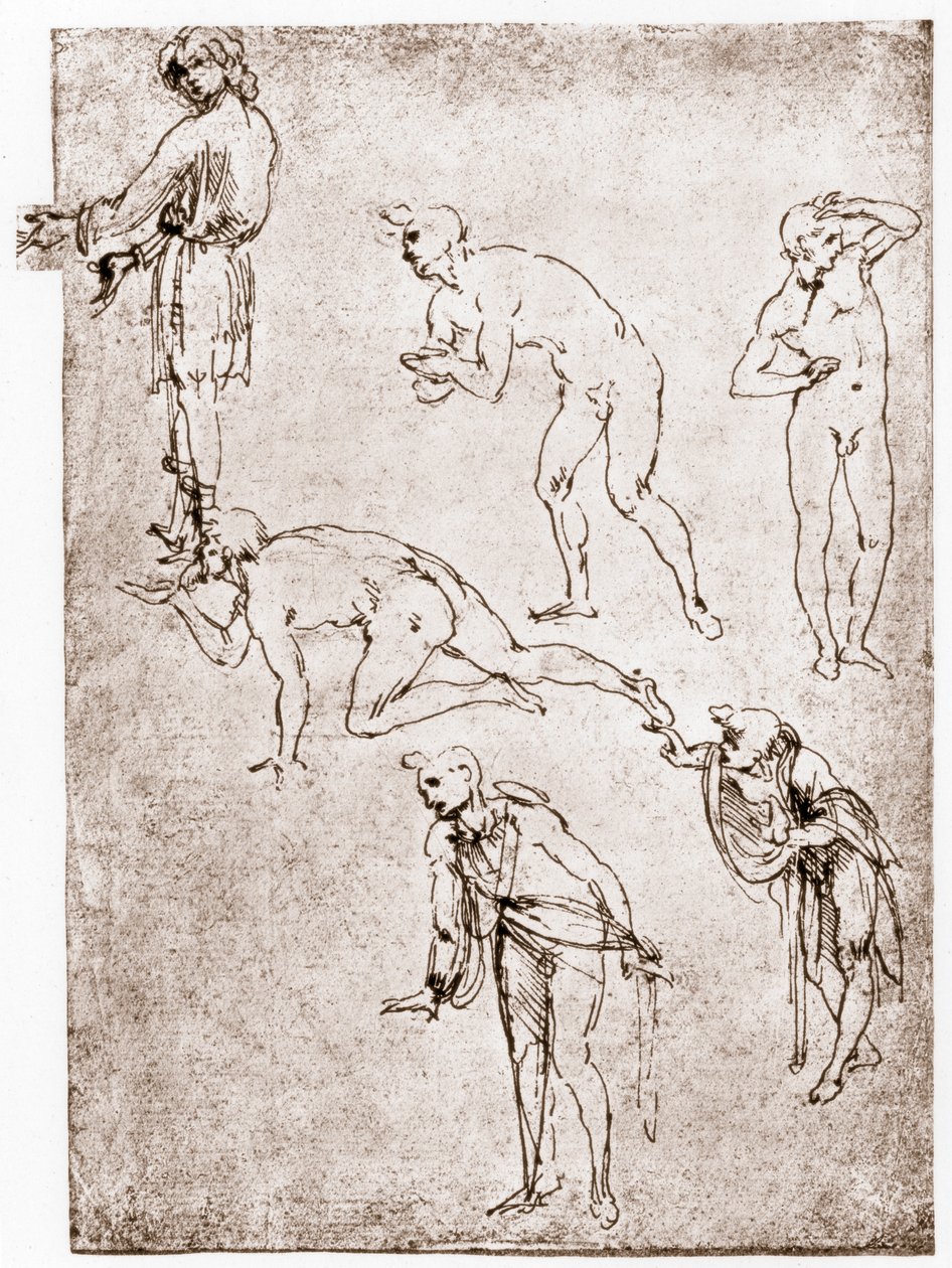 चरवाहों की आराधना, c1478-1480। द्वारा लियोनार्डो दा विंची