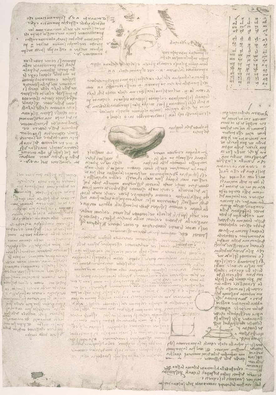 एनाटॉमी पढ़ाई द्वारा लियोनार्डो दा विंची
