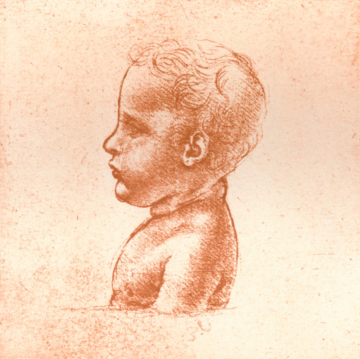 एक लड़के का वक्ष, c1472-c1519 1883 द्वारा लियोनार्डो दा विंची