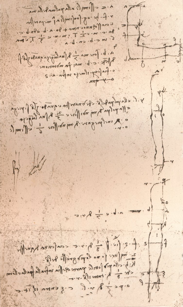 मानव आकृति के अनुपात के सिद्धांत का चित्रण करते हुए, c1472-c1519 1883 द्वारा लियोनार्डो दा विंची