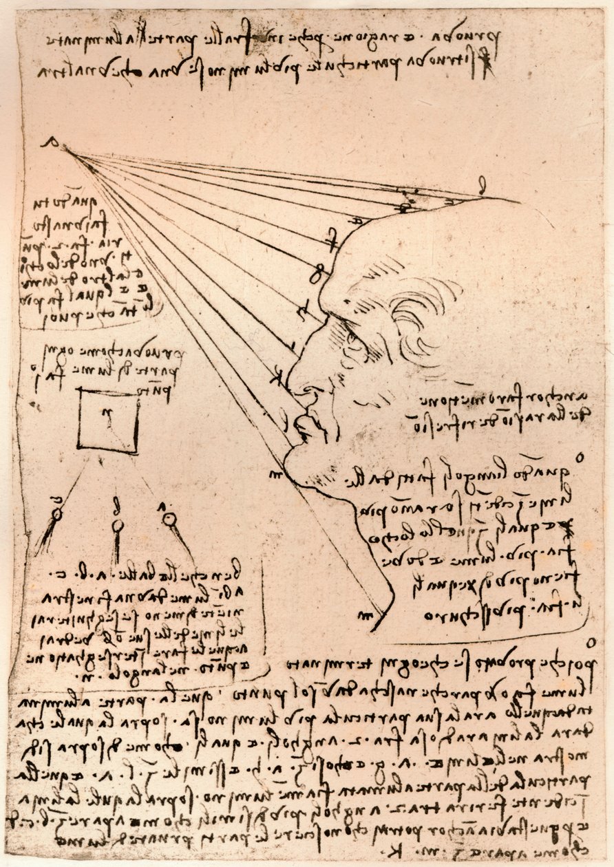 एक पुरुष प्रधान का चित्रण, पेंटिंग के अभ्यास को दर्शाते हुए, c1472-c1519 1883 द्वारा लियोनार्डो दा विंची