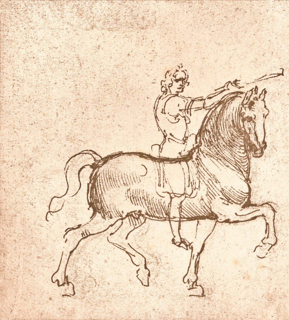 एक चलने वाले घोड़े का चित्र, c1472-c1519 1883 द्वारा लियोनार्डो दा विंची