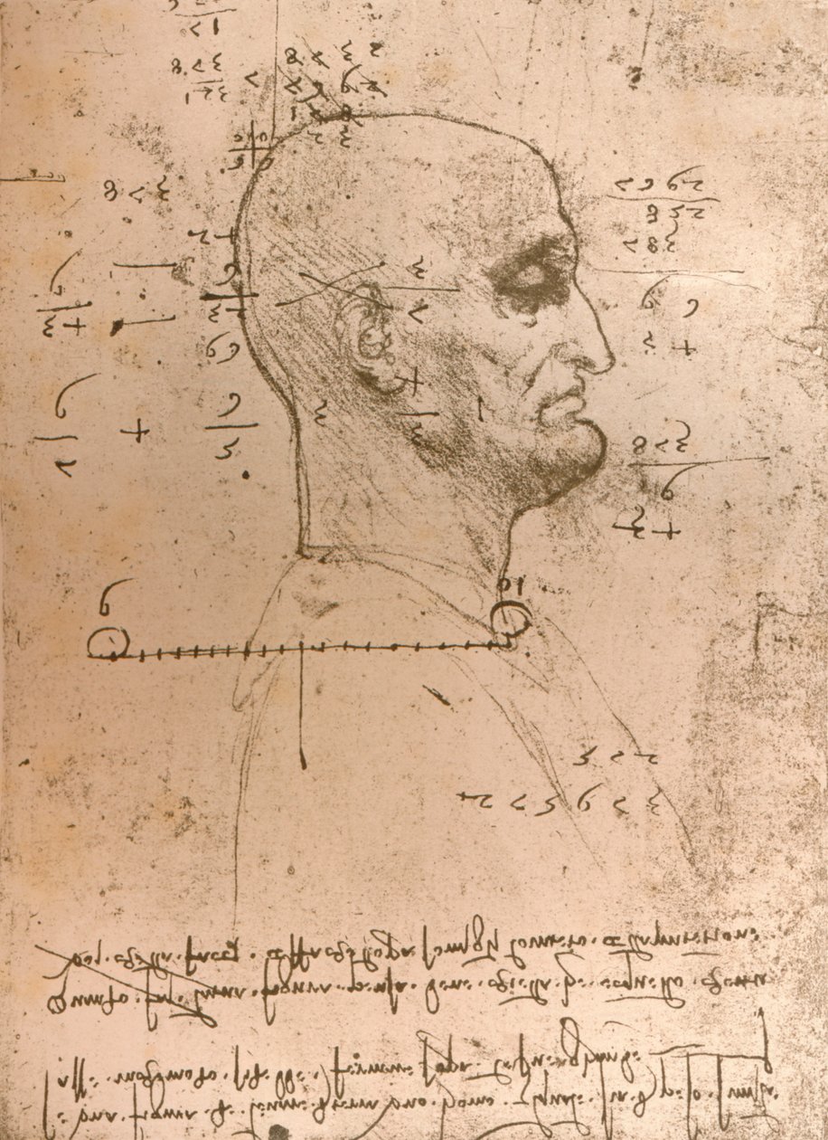 एक अपराधी के सिर का चित्रण, c1472-c1519 1883 द्वारा लियोनार्डो दा विंची