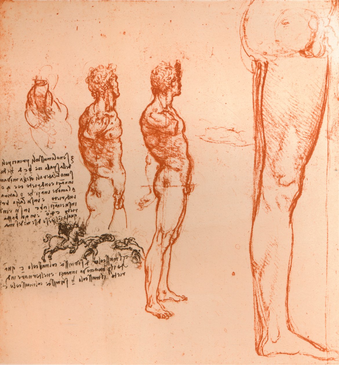 लड़ते हुए मानव आकृति और योद्धाओं के आंदोलनों को दिखाते हुए चित्र, c1472-c1519 1883 द्वारा लियोनार्डो दा विंची