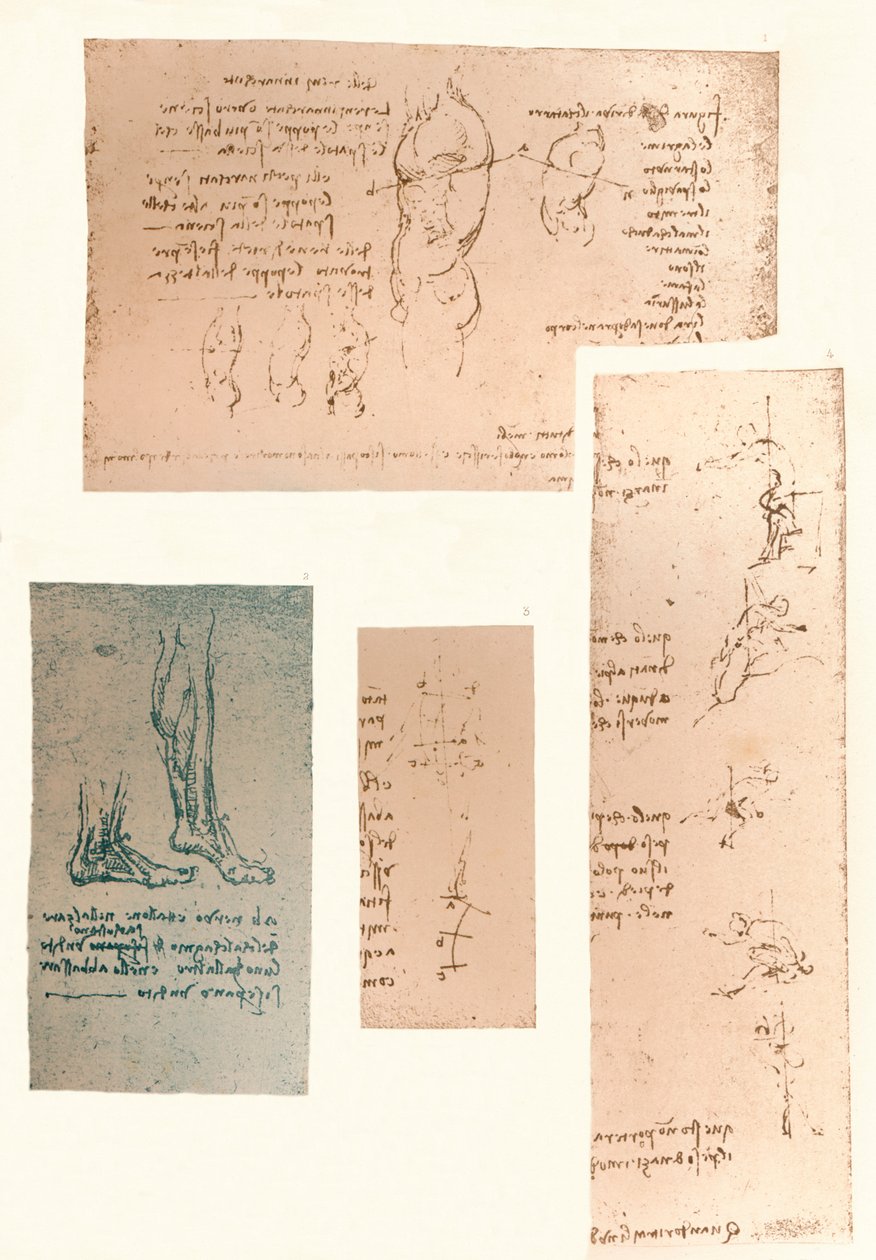 चार चित्र मानव आकृति के आंदोलनों के सिद्धांत को दर्शाते हैं, c1472-c1519 1883 द्वारा लियोनार्डो दा विंची