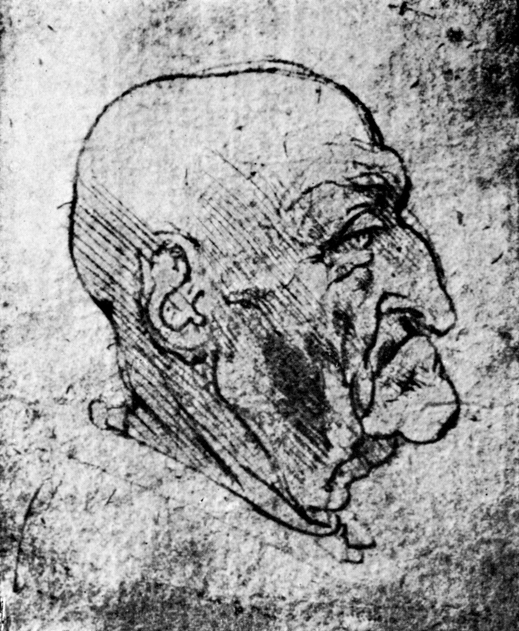 एक बूढ़े आदमी, 1913 के प्रमुख द्वारा लियोनार्डो दा विंची