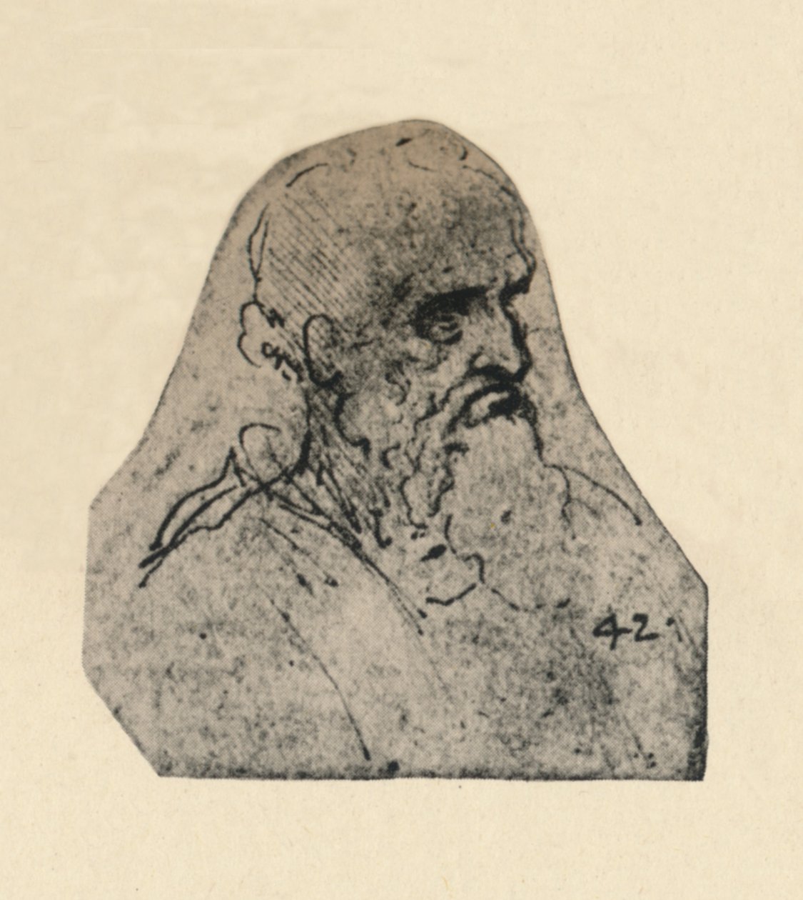 एक बूढ़े आदमी का सिर दाहिनी ओर मुड़ा, c1480 1945 द्वारा लियोनार्डो दा विंची