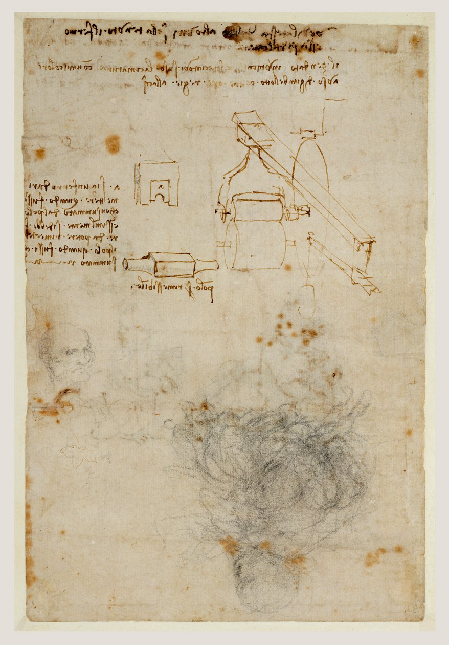 एक बूढ़े आदमी और मशीनरी के अध्ययन के प्रमुख, c.1503-06 (काली चाक, कलम और भूरी स्याही) द्वारा लियोनार्डो दा विंची