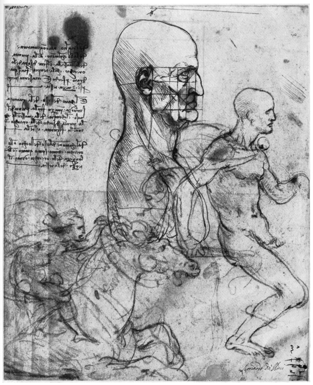 एक आदमी के सिर का प्रोफाइल और दो सवारों की पढ़ाई, c1490 और c1504 1954। द्वारा लियोनार्डो दा विंची