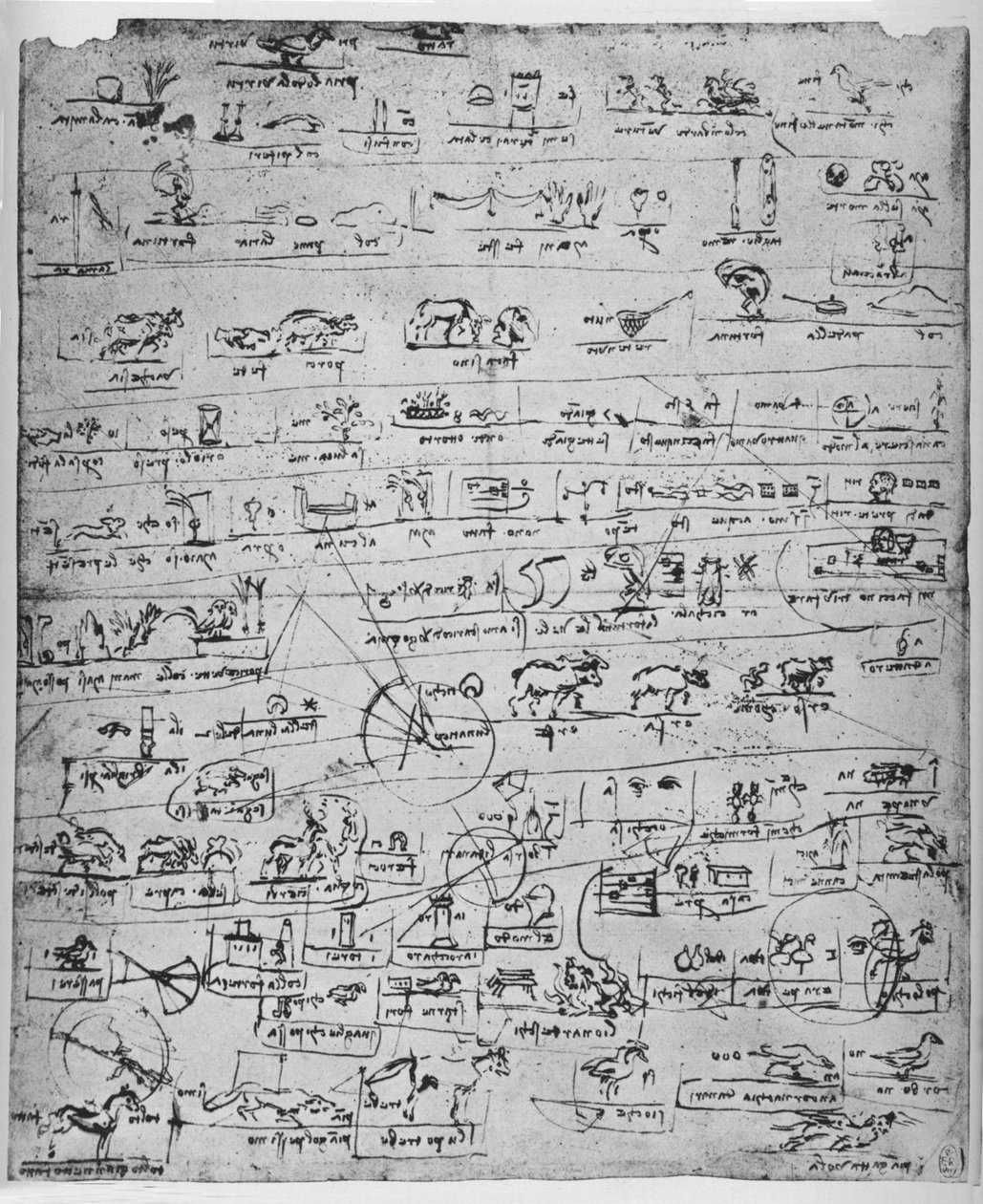चित्र की शीट, c1480 1945 द्वारा लियोनार्डो दा विंची