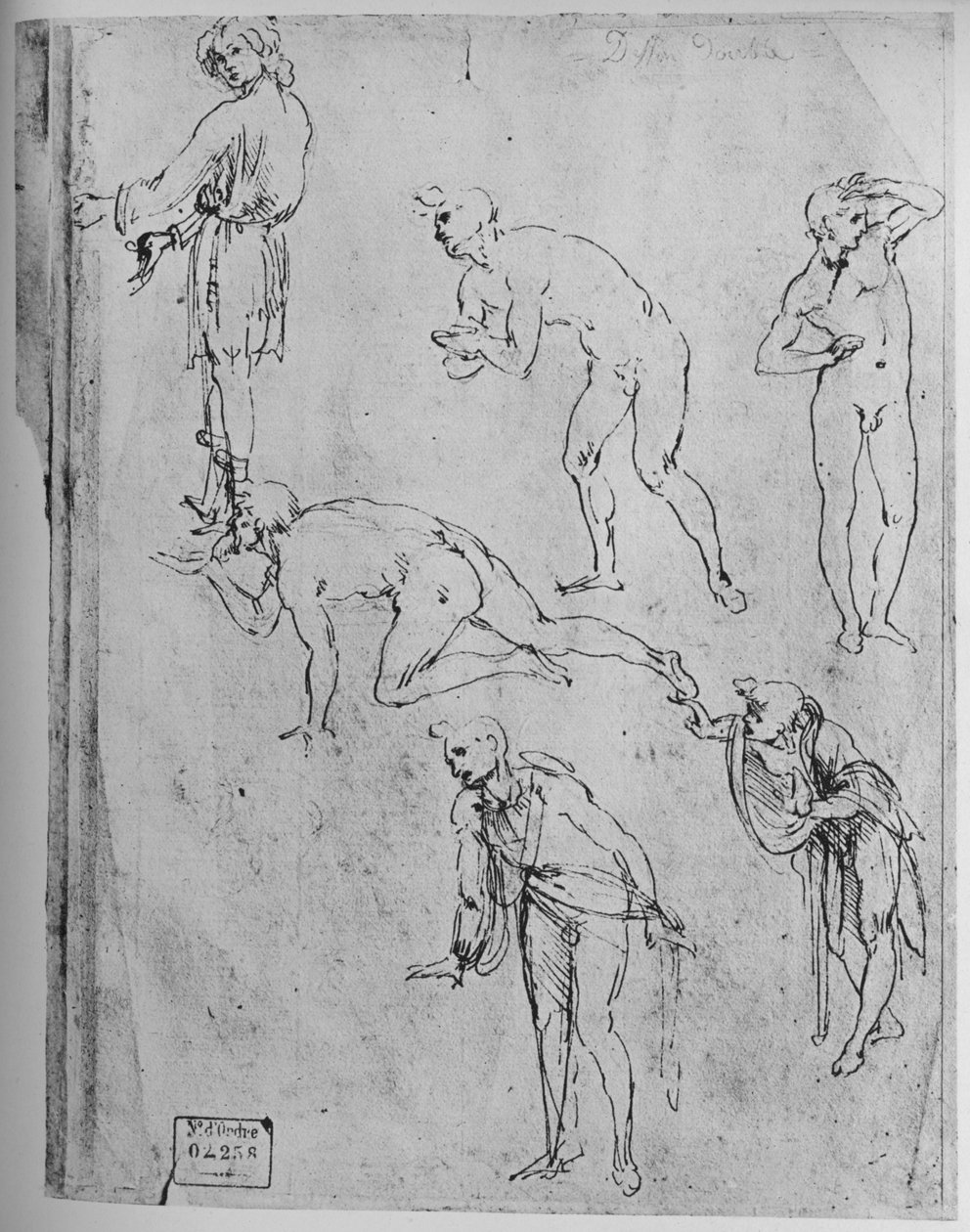 छह अध्ययनों के आंकड़े, 1481-1483 1945 द्वारा लियोनार्डो दा विंची